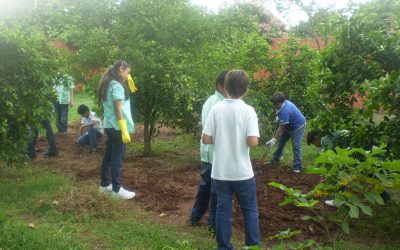 Noticia de prueba 1